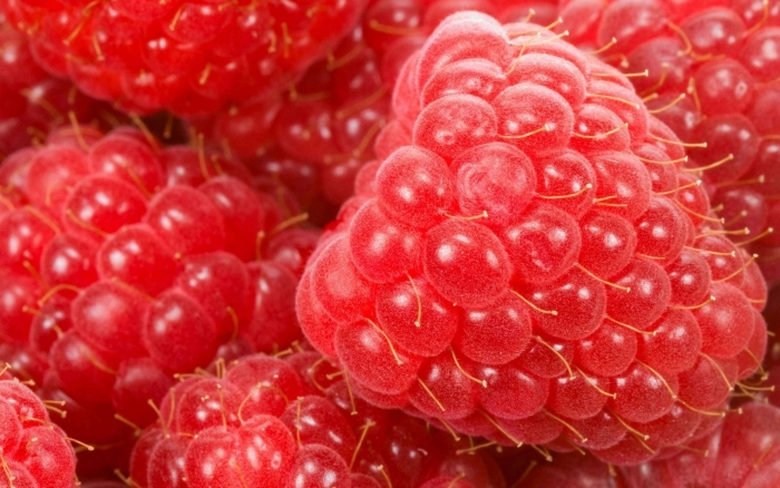 Красная малина