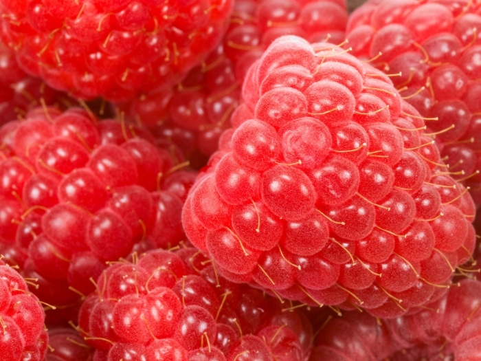 Raspberry fruit