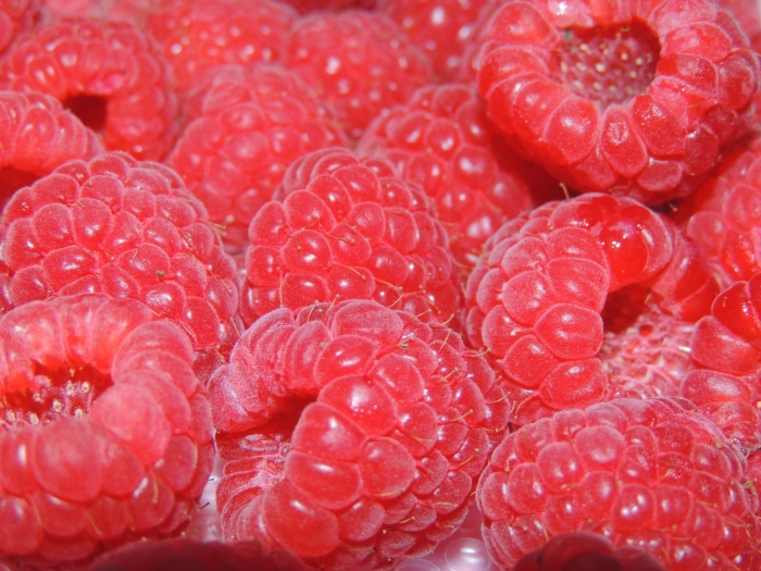 Костянка малина