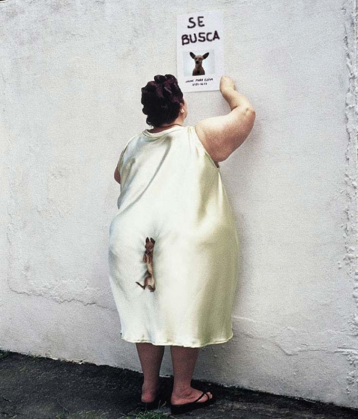 Потерялась собака прикол