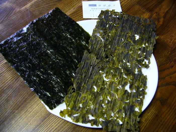Морская капуста нори в природе