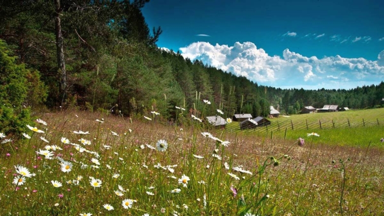 Национальный парк Вологодской области