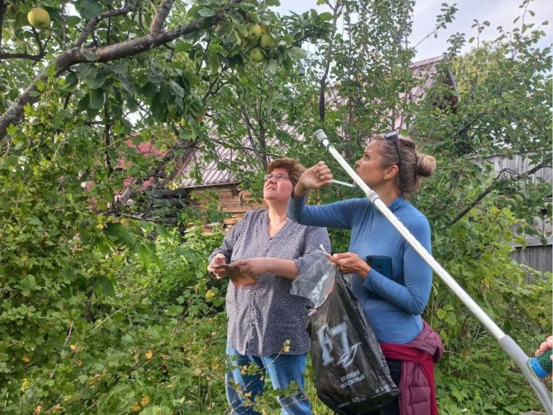 Сельскохозяйственные растения Архангельской области