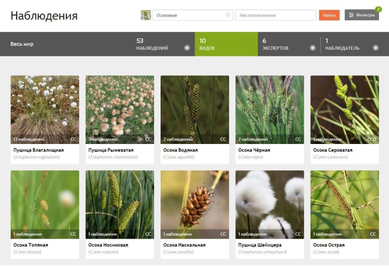 Флора россии