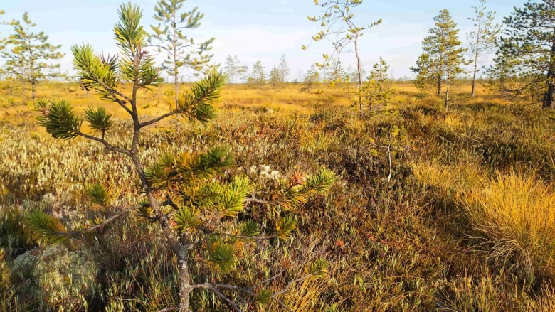 Ландшафтный заказник