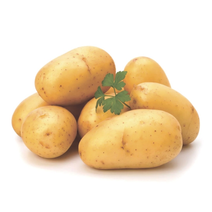 Сорт картофеля янка