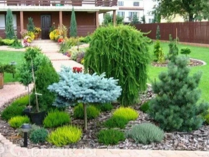 Хвойный рокарий миксбордер