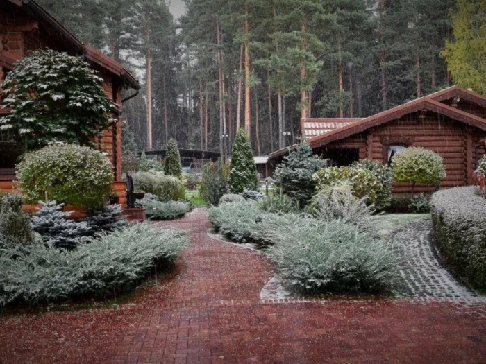 Ландшафтный дизайн в лесном стиле