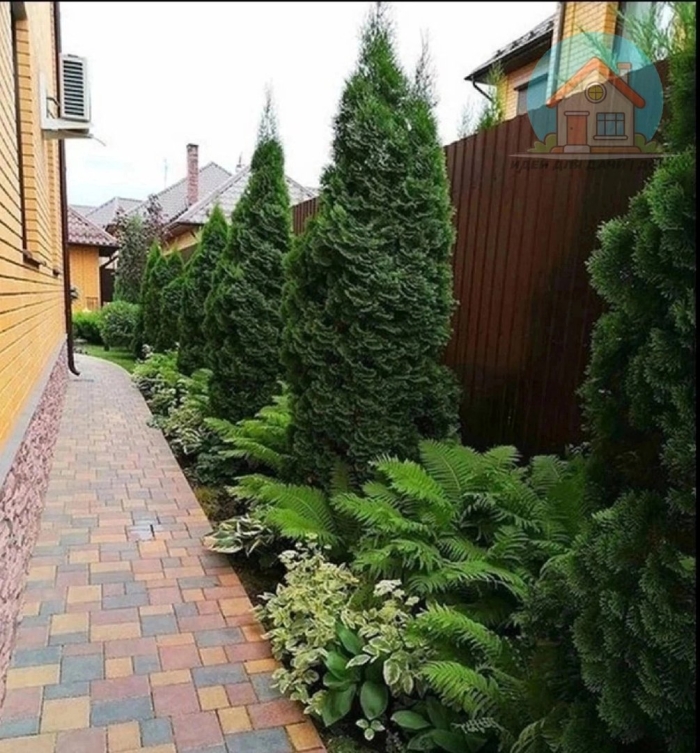 Вдоль забора ландшафтный дизайн