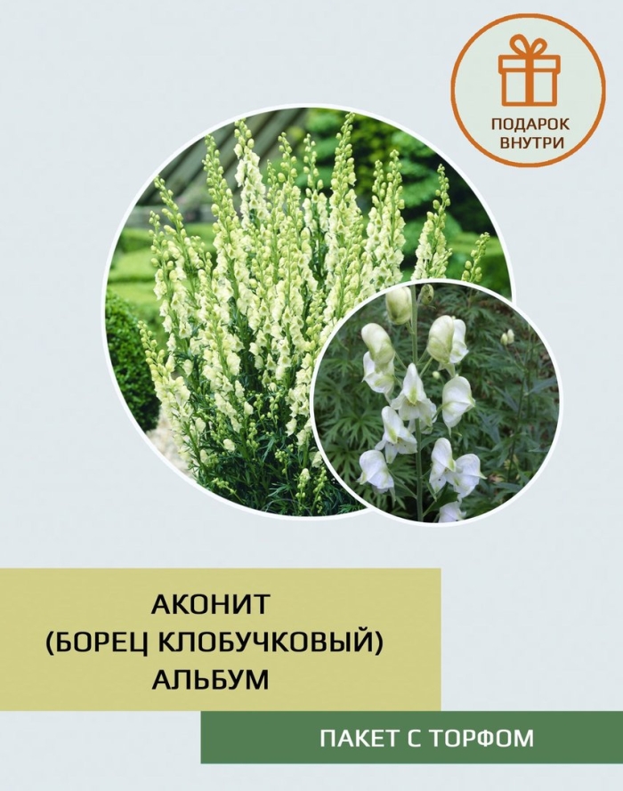 Аконит клобучковый альбум