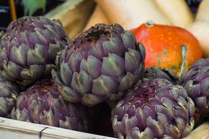 Артишок цинара пурпл