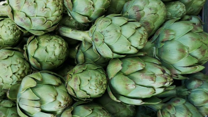 Артишок овощной