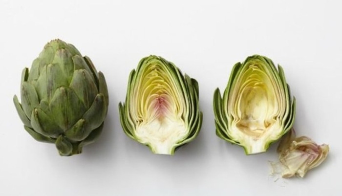 Артишок в разрезе