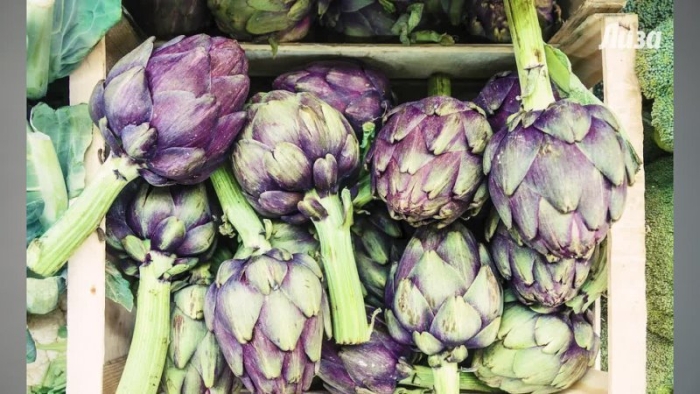 Артишок в разрезе