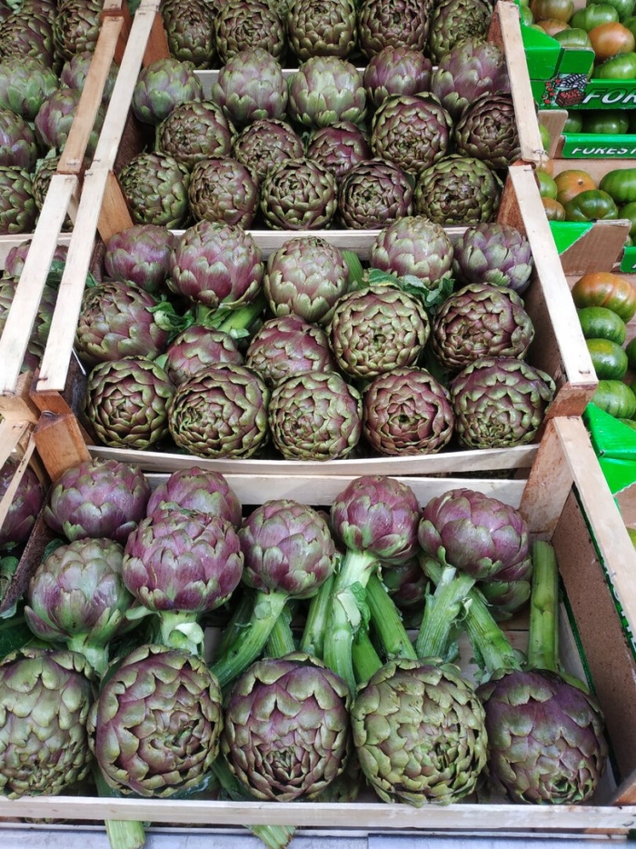 Артишок artichoke romanesco