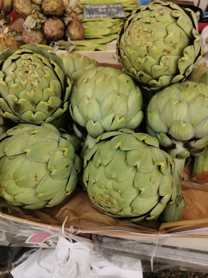 Артишок овощ