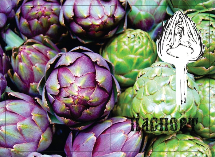 Артишок колючий