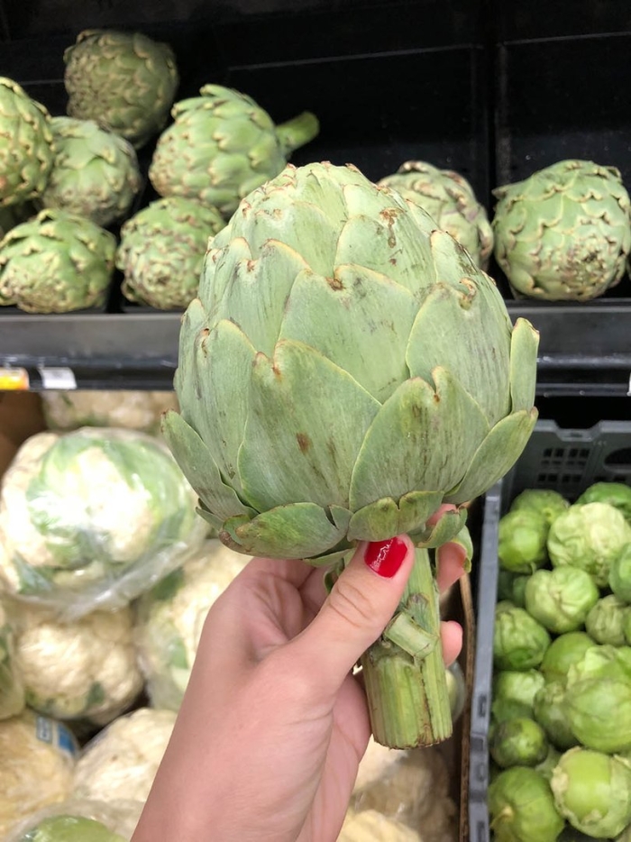 Артишок цветок