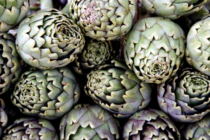 Сynara scolymus l.-тиканли артишок