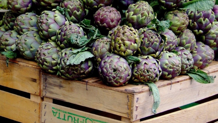 Артишок куст