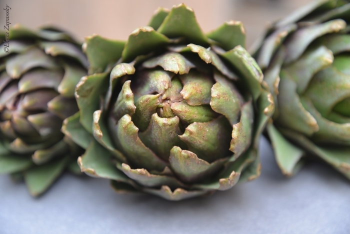 Артишок обыкновенный