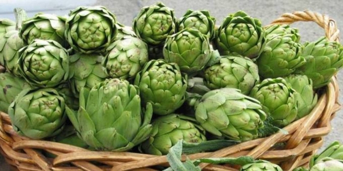 Артишок и хмель