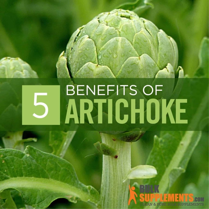 Донца артишоков