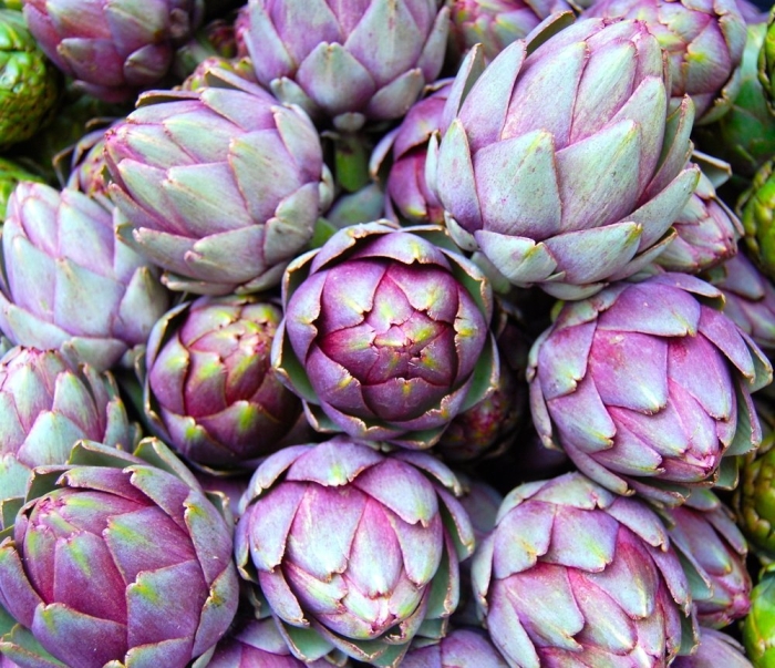 Артишок синий