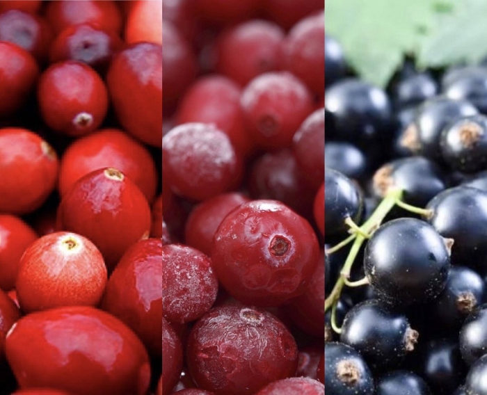 Черная и красная смородина