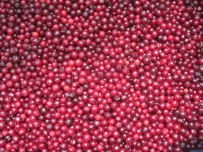 Клюква и брусника отличия