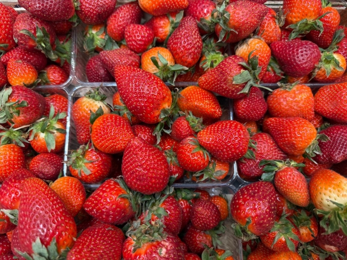 Крупная клубника