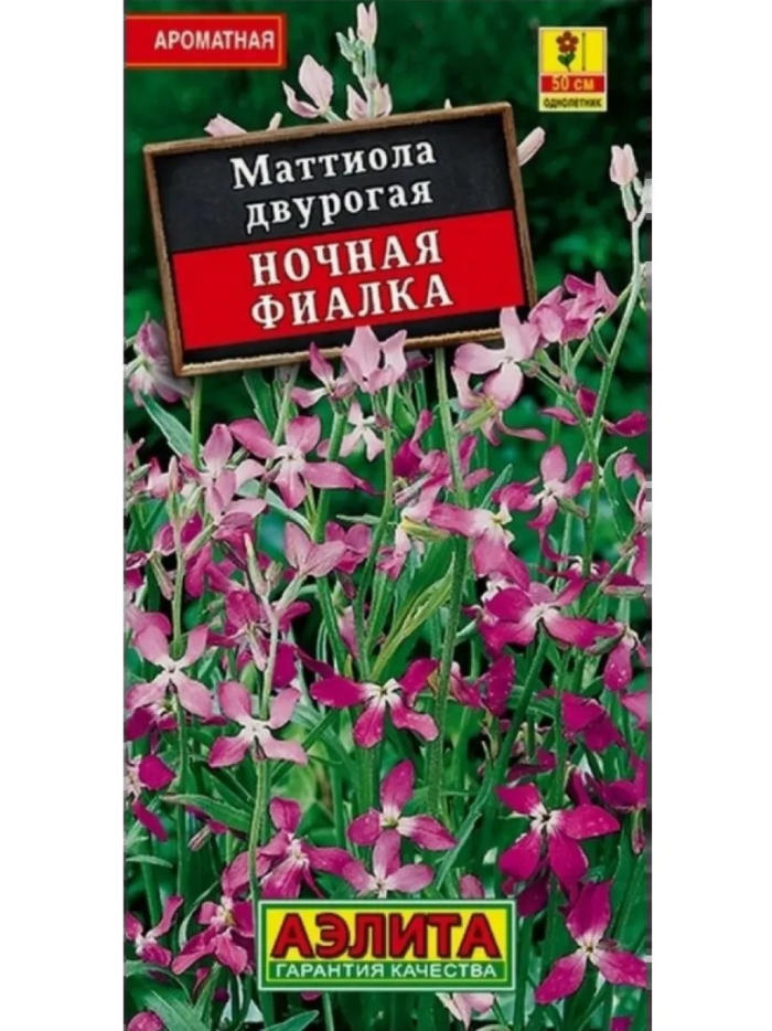 Маттиола ночная фиалка аэлита