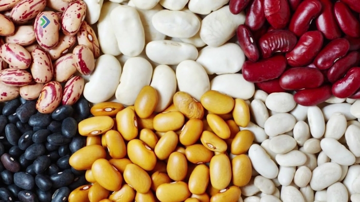 Фасоль белая