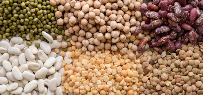 Фасоль бобы