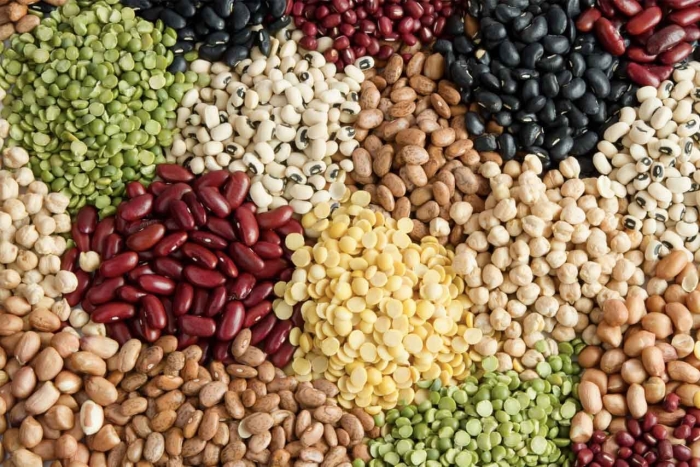 Бобовое зерно