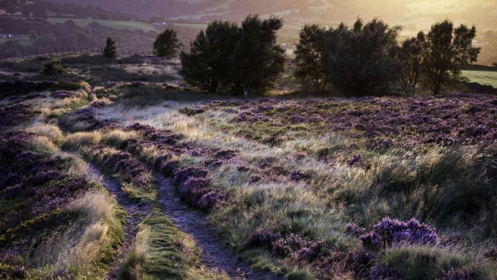 Природа пейзаж