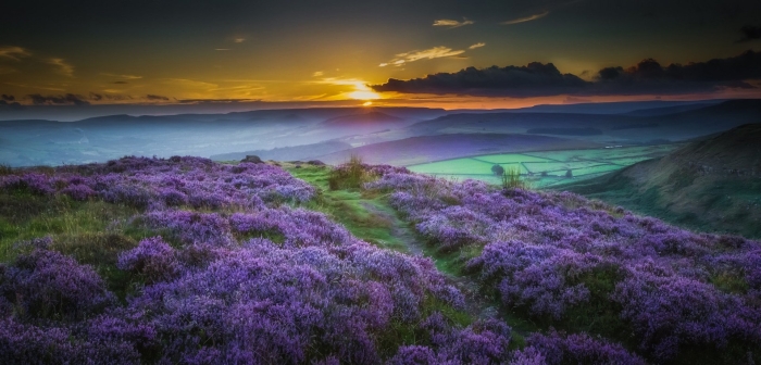 Природа закат