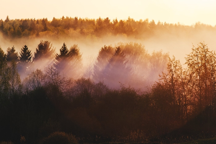Осенние пейзажи