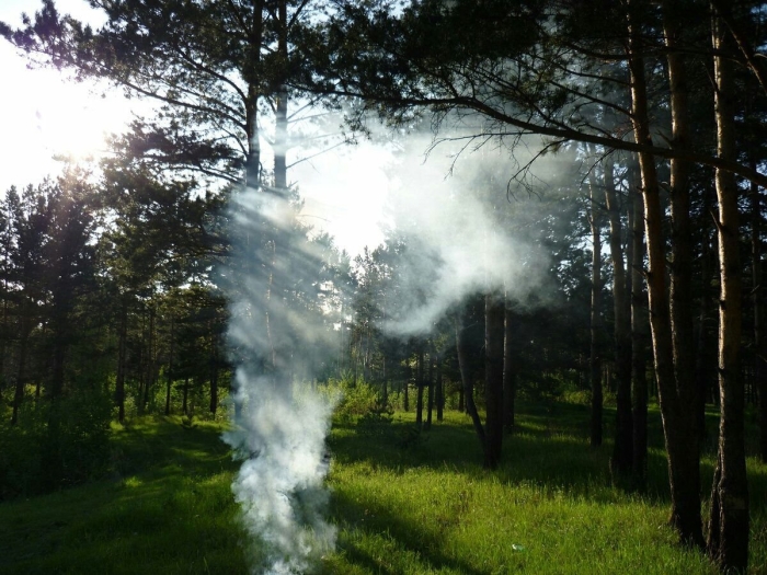 Дымовой костер