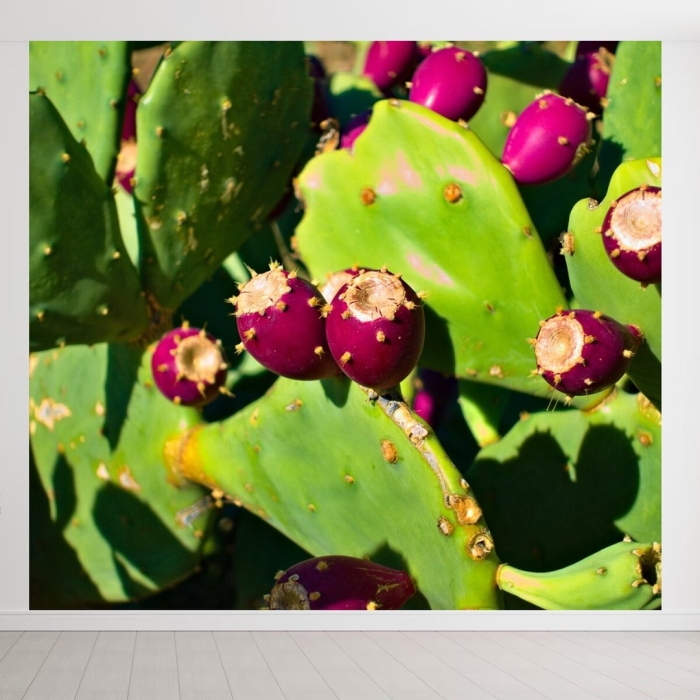 Prickly pear