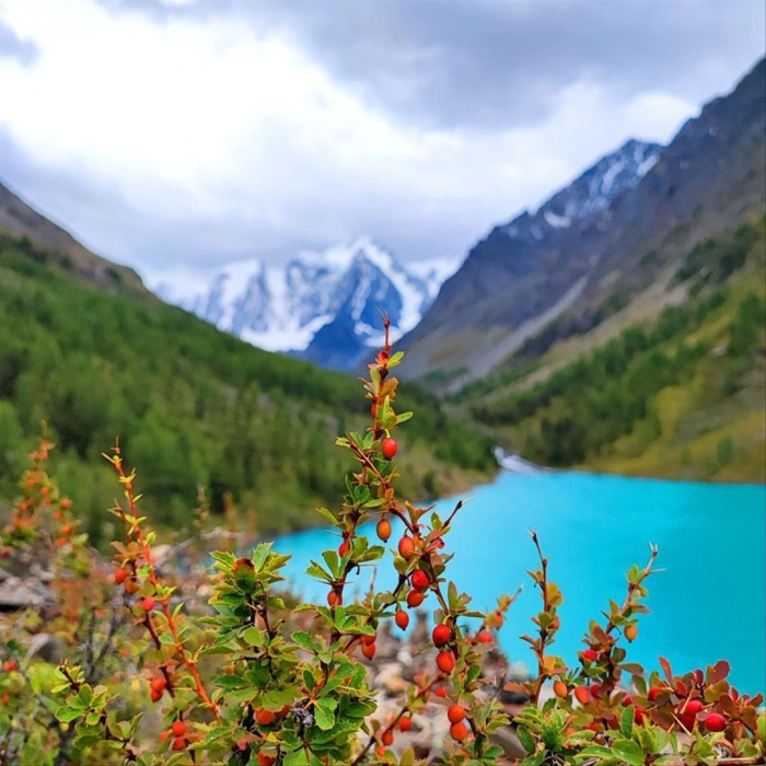 Горный алтай шавлинские озера