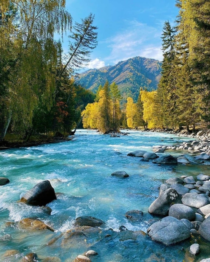 Алтай река кучерла