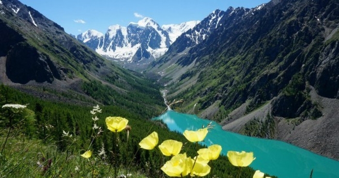 Природа горного алтая