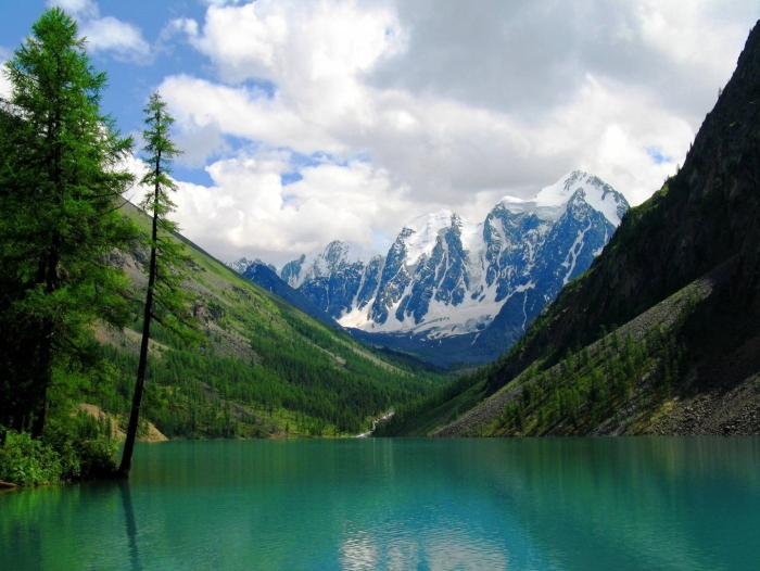 Горный алтай озеро шавло