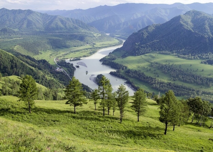 Алтайские горы чемал