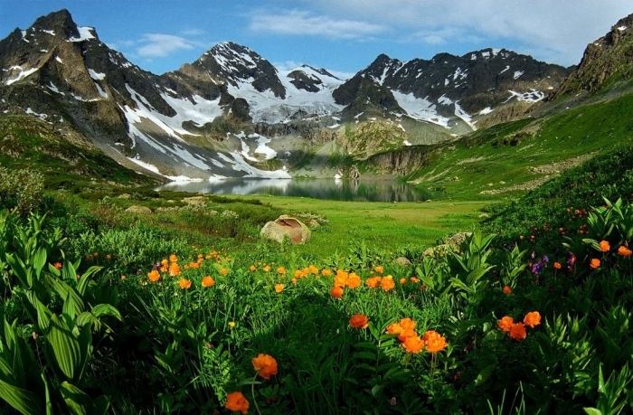 Альпийские луга тянь шаня