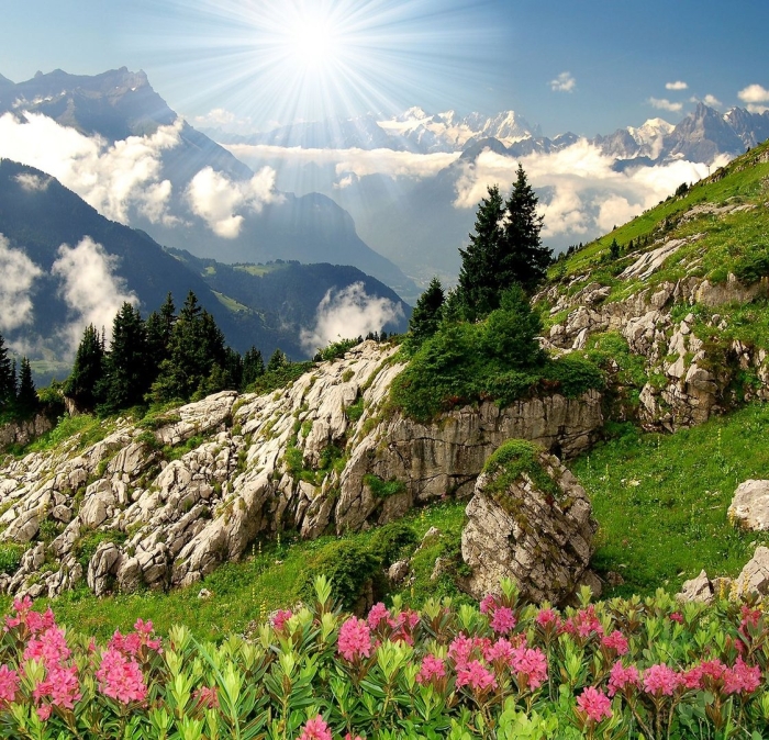 Альпийские луга швейцария