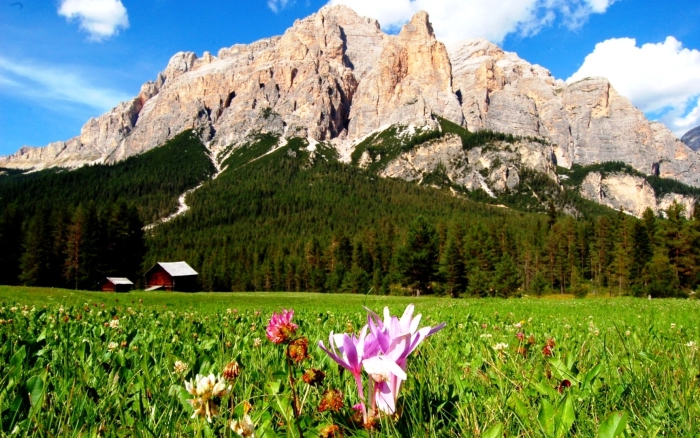 Доломитовые альпы