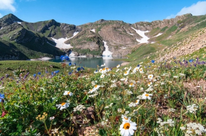 Альпийские луга в абхазии
