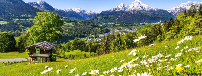 Альпийские луга риффельальп швейцария